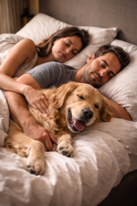Dormir com o pet na mesma cama faz mal?